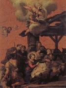Pietro da Cortona The Nativity and the Adoration of the Shepherds Spain oil painting artist